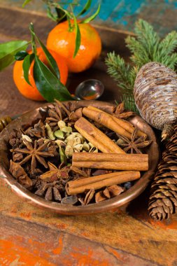 Kış ve Noel gün, için baharat bak için kullanılan koleksiyonu