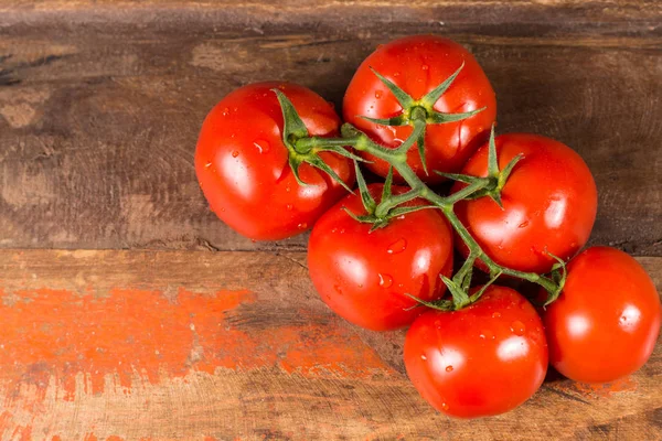 Vinha com tomates vermelhos maduros da estufa holandesa — Fotografia de Stock