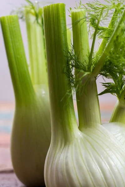 Φρέσκο ωμό οργανικό Florence fennel βολβούς, κοντινό πλάνο — Φωτογραφία Αρχείου