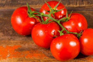 Hollandalı sera kırmızı olgun domates ile asma, kopya alanı kapatın