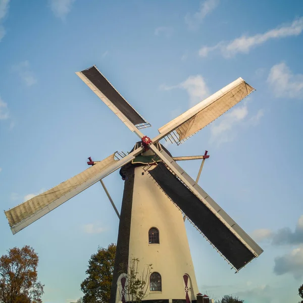 Antiguo Molino Viento Tradicional Brabante Países Bajos Con Cielo Azul —  Fotos de Stock