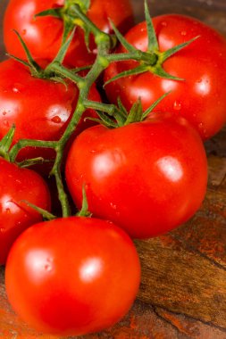 Hollandalı sera kırmızı olgun domates ile asma, kopya alanı kapatın