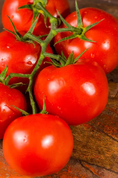Αμπέλου Κόκκινες Ώριμες Ντομάτες Από Ολλανδική Θερμοκηπίου Εσωτερικη Αντίγραφο Χώρου — Φωτογραφία Αρχείου