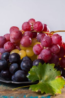 Teneke tabakta çeşitli üzüm dünya büyük organik tablo kapat