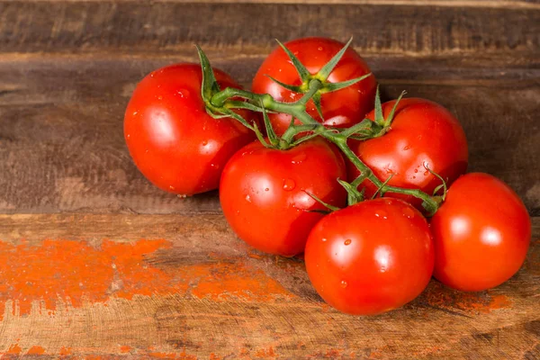 Vinha Com Tomates Vermelhos Maduros Estufa Holandesa Espaço Cópia Close — Fotografia de Stock