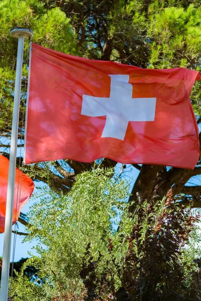 Bandeira Suíça Consiste Uma Bandeira Vermelha Com Uma Cruz Branca — Fotografia de Stock