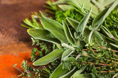 Taze İtalyan mutfak otlar - kekik, biberiye, adaçayı, maydanoz