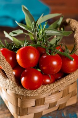 Taze yeşil adaçayı bitki ve asma lezzetli kiraz domates