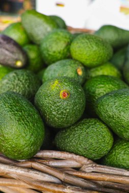 Taze olgun yeşil organik avokado yeni hasat
