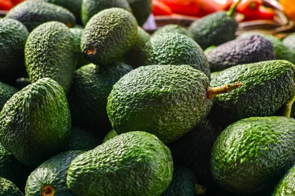 Avocado fresco verde maturo biologico nuovo raccolto — Foto Stock