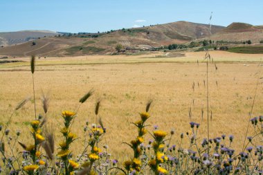 Orta Sicilya tepeler ve alanları yaz ile deniz arasında peyzaj
