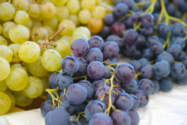 White muscat grape and dark grape - sweet and tasty dessert, healthy fruit from south vineyards of Provence on the market