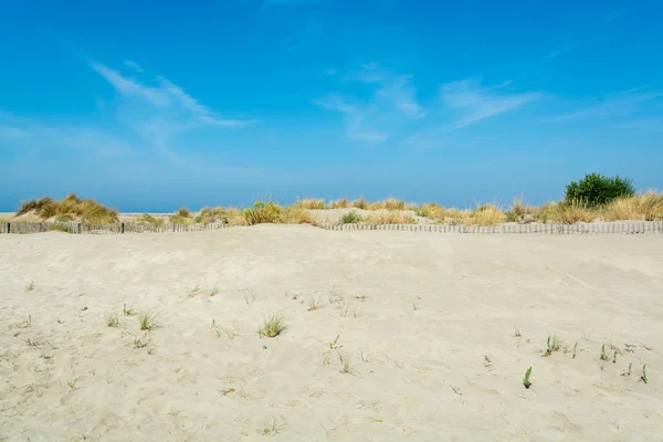 Nice Praia Areia Branca Grau Roi Costa Languedoc França Conhecida — Fotografia de Stock