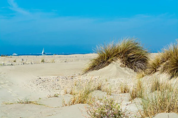 Nice Praia Areia Branca Grau Roi Costa Languedoc França Conhecida — Fotografia de Stock