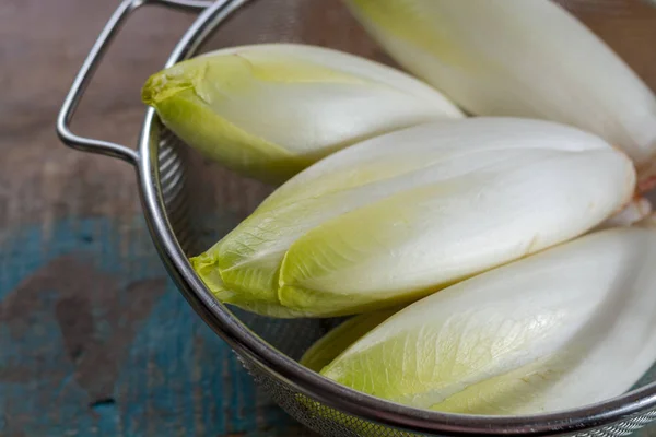 Insalata di cicoria amara belga cruda fresca — Foto Stock