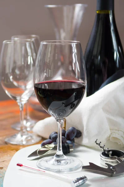 Profesyonel kırmızı şarap tadımı olay ile yüksek kaliteli şarap cam — Stok fotoğraf