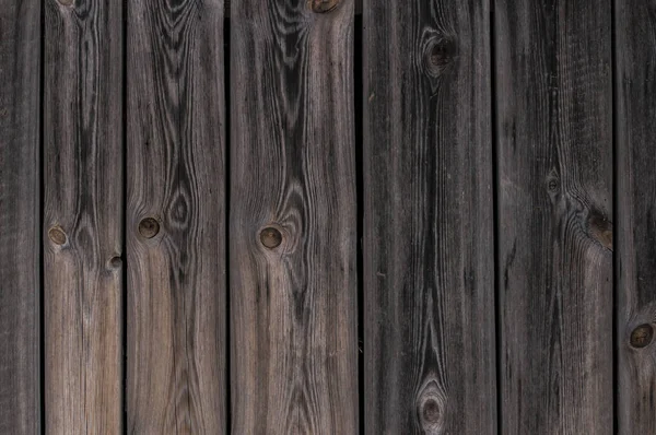 Timber wood brown oak panels used as background