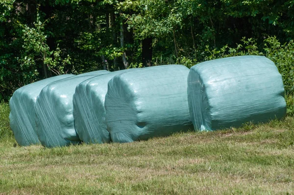 Fila de fardos de feno embrulhados de plástico em um campo verde — Fotografia de Stock