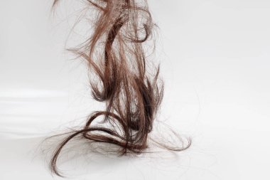 a lot of cut hair falls from top to bottom in parts on a light gray background. brown hair on a white background clipart