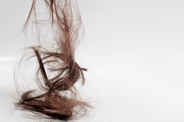 hair falls down after cutting. the cut-off brown hair falls from above in a heap, hanging in the air. lots of hair falling out on a light white background clipart