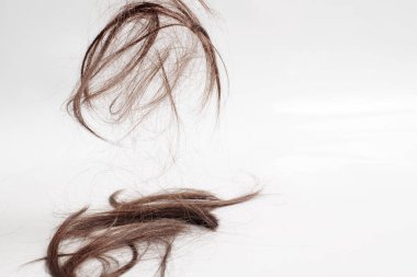 hair is beautifully sprinkled in parts on a white background. brown hair after cutting falls down clipart