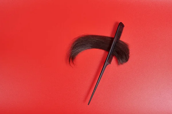 Une Mèche Coupée Cheveux Bruns Trouve Dans Peigne Sur Fond — Photo