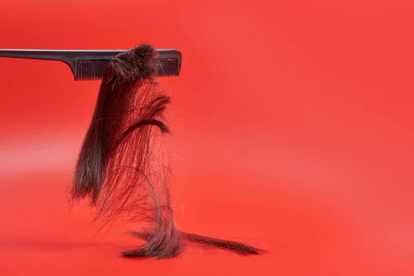剪掉的棕色头发从梳子里掉了出来 在红色的背景上飞下来 一束头发掉了下来 落在红色的背景上 — 图库照片
