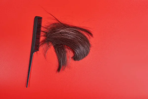 Uma Pitada Cabelo Castanho Com Pente Preto Sobre Fundo Vermelho — Fotografia de Stock