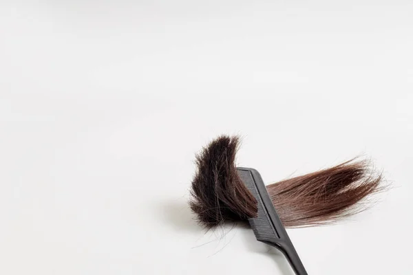 薄い灰色の背景をした櫛の中で髪の毛の塊が切り取られる場所 白い背景の櫛の歯の茶色の髪の塊 — ストック写真