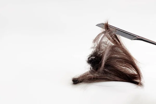 Hnědé Vlasy Ostříhané Černého Hřebenu Světle Čisté Šedé Pozadí Shluk — Stock fotografie