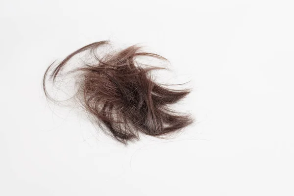 白い背景に毛が散乱しています 髪の毛の茶色の塊はランダムに薄い灰色の背景にあり — ストック写真