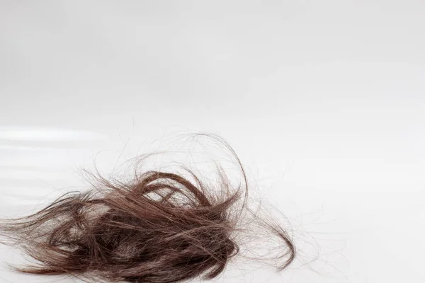 Ein Bündel Haare Auf Hellgrauem Hintergrund Nest Aus Braunen Haaren — Stockfoto