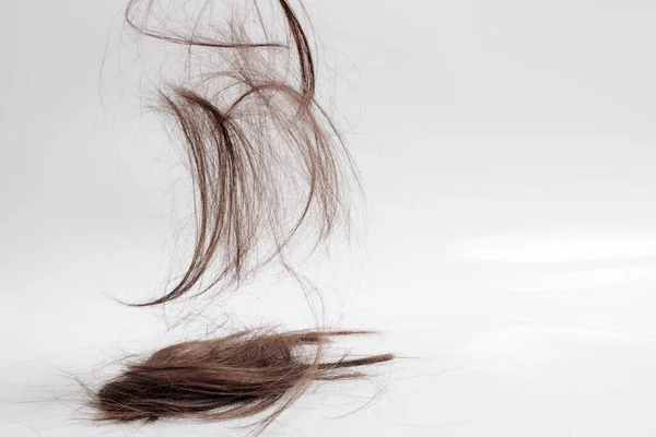 Коричневе Волосся Відрізається Падає Зверху Світлому Тлі Частини Волосся Падають — стокове фото