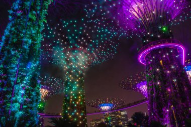 SINGAPORE, 3 EKİM 2019: Körfezin yanındaki Bahçelerin Süperağaçları