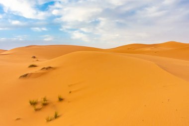 Alacakaranlıkta Sahra Çölü 'nün kumullarının güzel manzarası, Merzouga, Fas