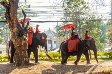 AYUTTHAYA, THAILAND, 12 HAZİRAN 2020: Ayutthaya 'ya turist taşıyan filler