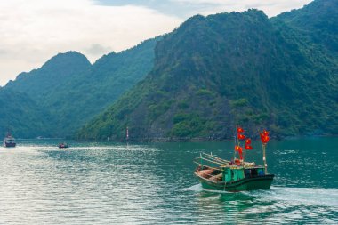 HA LONG BAY, VİETNAM, 6 HAZİRAN 2020: