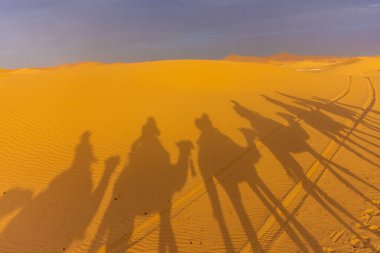 Sahra Çölü 'nde, Merzouga' da, Fas 'ta develerin gölgesi.