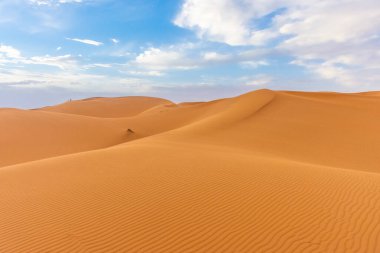 Alacakaranlıkta Sahra Çölü 'nün kumullarının güzel manzarası, Merzouga, Fas