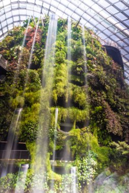 ŞARKI, 3 EKİM 2019 Singapur Bulut Ormanı Şelalesi