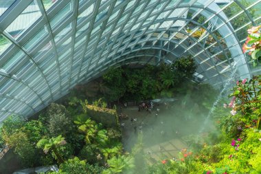 ŞARKI, 3 EKİM 2019: Singapur 'daki Bulut Ormanı