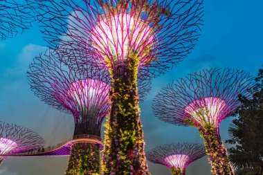 SINGAPORE, 3 EKİM 2019: Körfezin yanındaki Bahçelerin Süperağaçları