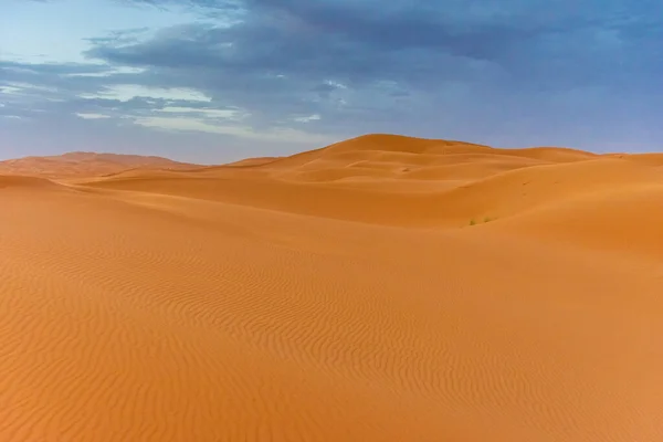 Bellissimo Paesaggio Delle Dune Del Deserto Del Sahara Crepuscolo Merzouga — Foto Stock