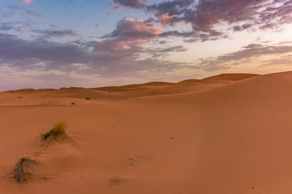 Świt Wydmach Erg Chebbi Pustynia Sahara Maroko — Zdjęcie stockowe