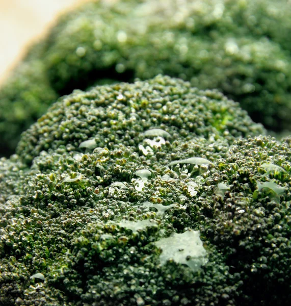 Broccoli verdi lussureggianti macro texture primo piano - dettaglio di brocoli — Foto Stock