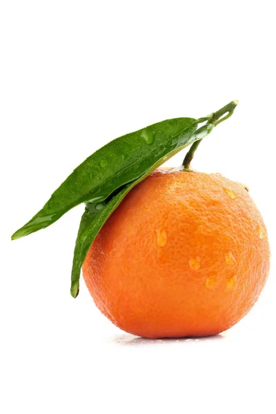 Satu jeruk keprok dengan daun pada latar belakang putih . — Stok Foto