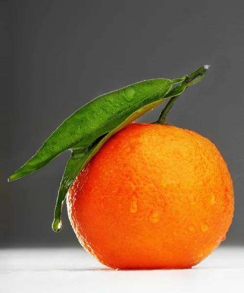 Dojrzałe mandarin z liść zbliżenie na tle szarego gradien. Mandarynka, pomarańczowy z liści na szarym tle. — Zdjęcie stockowe