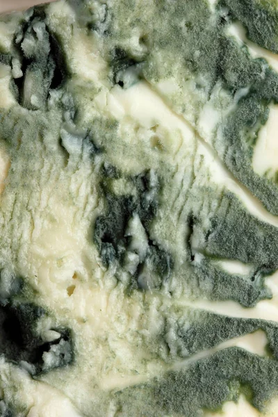 Крупним планом синій сир. Макро. Концепція — стокове фото