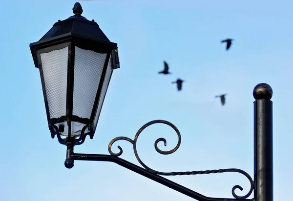 Närbild av gamla gatan ljuset över blå himmel och flygande fåglar oskärpa — Stockfoto