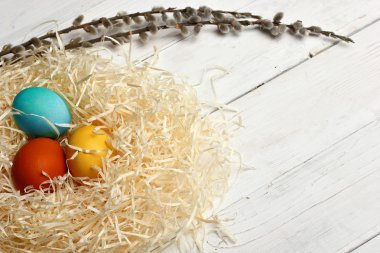 Paskalya yumurta beyaz ahşap zemin üzerinde kedicikler Willow'la iç içe. En iyi view.copy alanı